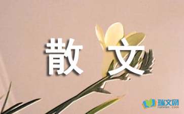 600字随笔写景抒情散文