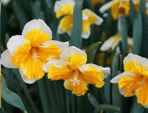 2019感觉心累的经典说说 如今我累了，想放开了