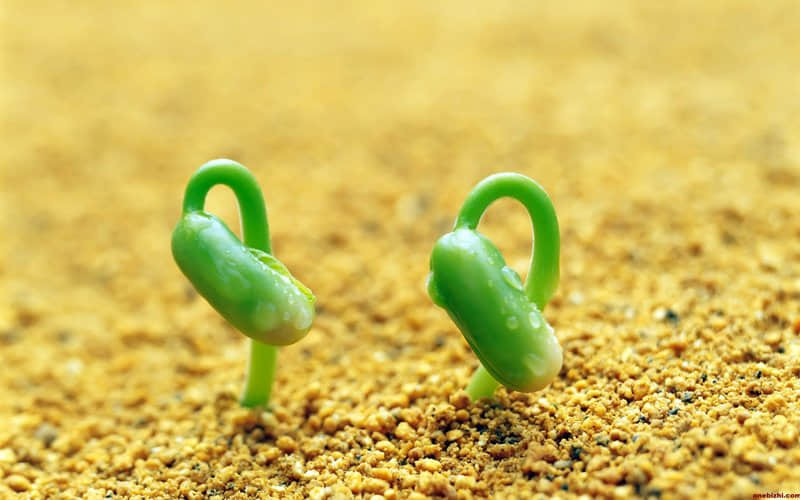 发奋图强的经典说说（57条）