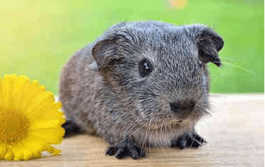 发奋图强的经典说说（57条）