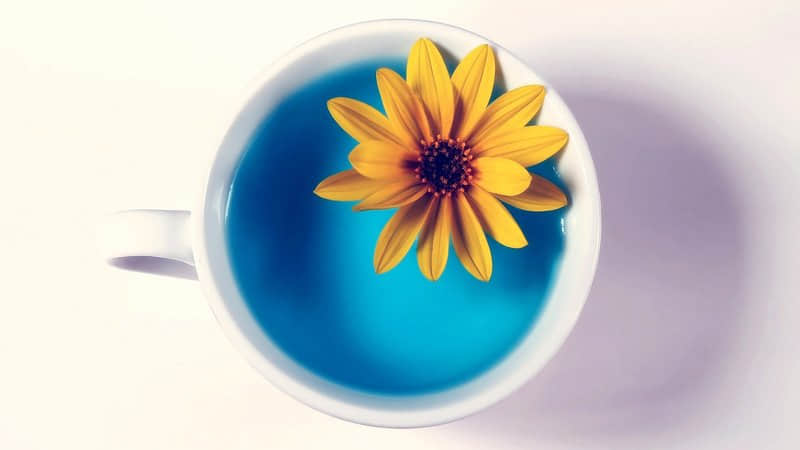 不想再伪装自己的经典说说（56条）