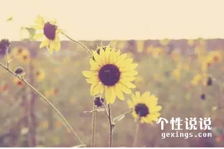 关于人生成长心灵鸡汤的经典说说