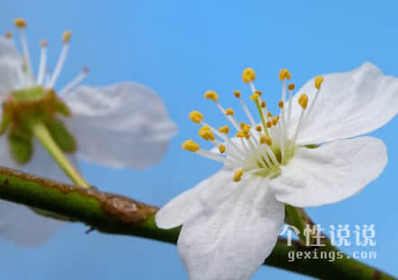 致更优秀的自己 精辟入骨朋友圈超赞（44条）