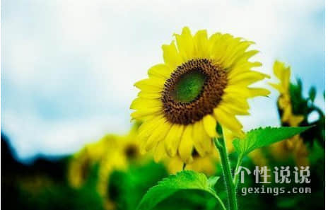 感到现实心酸的经典说说（64条）