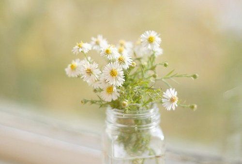 迎接五月的说说句子，五月你好签名说说