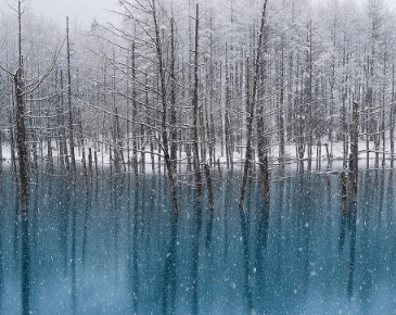 一句话看哭了 心碎到撕心裂肺的伤感句子（17句）