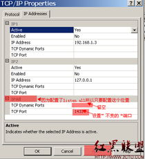 网站管理维护基础知识