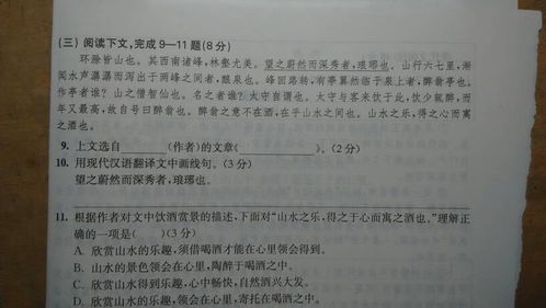 九年级上册语文基础知识,九年级上册语文基础知识测试卷,九年级下册语文基础知识