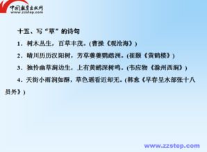 基础知识积累与运用教案