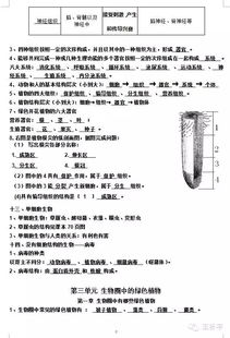 初1基础知识点