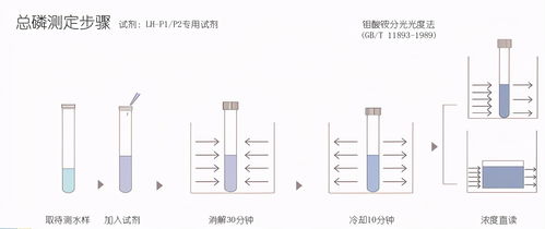 考试题,水质,上岗,基础知识