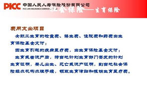 关于协管员的基础知识及常识,社保协管员是什么工作,村委社保协管员待遇