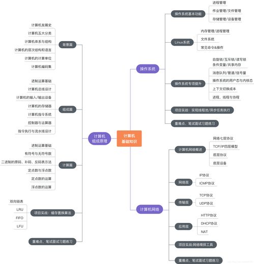 慕课网编程必备基础知识