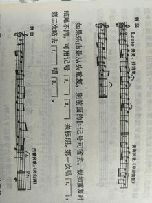 乐理,记号,省略,基础知识