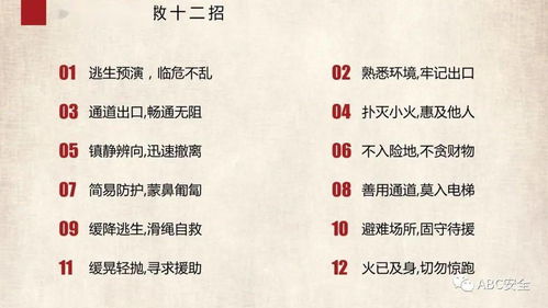 消防基础知识培训课件,消防基础知识培训总结,消防基础知识培训