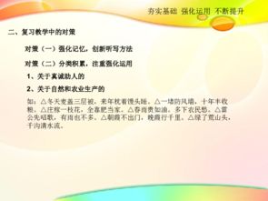 夯实基础知识提高语文