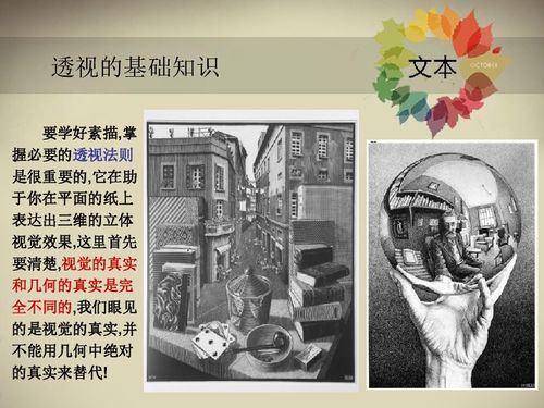 六年级上册美术基础知识点,六年级上册美术知识点,六年级美术知识点总结