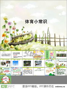 基础知识,体育,ppt