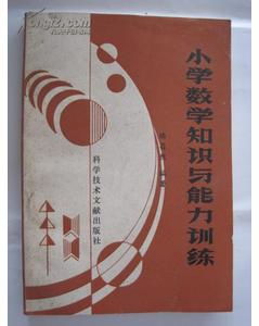 小学数学基础知识与能力训练
