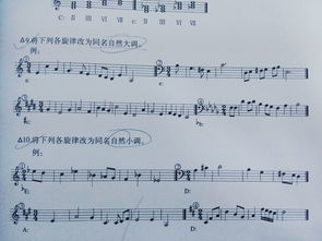 乐理,伴奏,基础知识,纯音乐