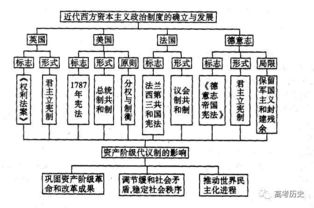 基础知识,学科,政治