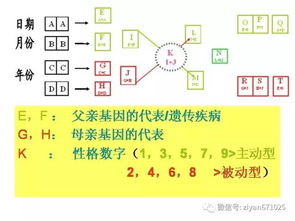 数字能量表基础知识