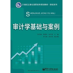 基础审计学基础知识