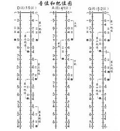 自学二胡基础知识