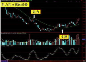 刘博伦均线基础知识