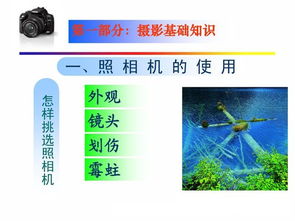 基础知识,讲解,入门,摄影