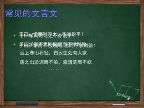 初中文言文基础知识入门ppt,初中文言文基础知识入门旧书网,初中文言文基础知识书籍