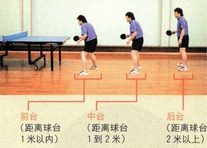 乒乓,基础知识