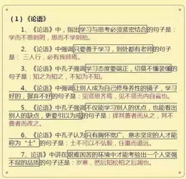 背语文基础知识手册,背语文基础知识手册有用吗,语文基础知识天天背