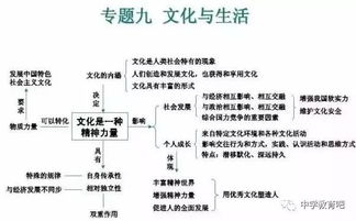 初三政治第l六课基础知识汇总