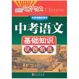 人教初中中考语文基础知识