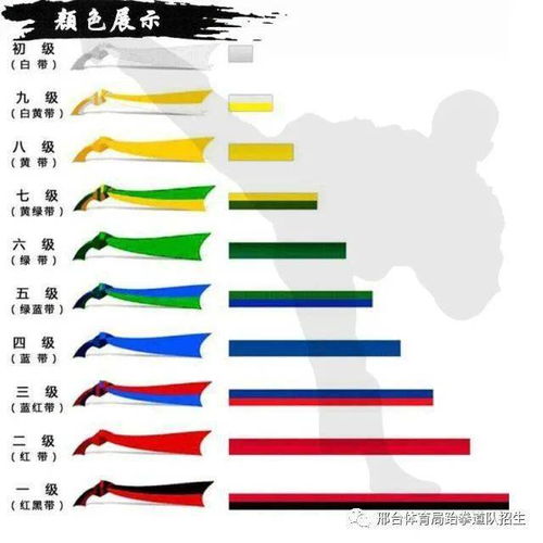 跆拳道考试基础知识