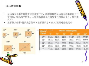 相机的基础知识,相机使用基础知识,相机基础知识入门