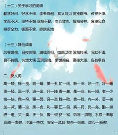 基础知识,语文