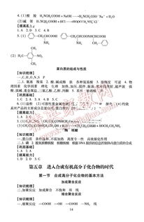 九下化学伴你学基础知识梳理答案