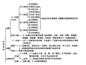 中医基础知识脉象