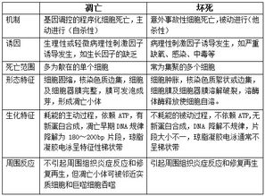 医学基础知识和医疗专业基础知识,医学基础知识卫生法规重点,医疗事业单位医学基础知识试题