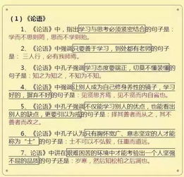 知识点,新版,语文,基础