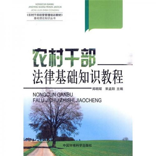 村小二需要掌握哪些基础知识