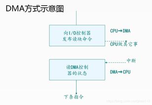 基础知识,印刷,硬件,基础