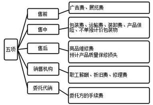 会计相关的基础知识