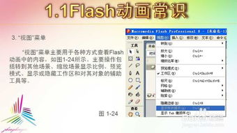 flash基础考试知识