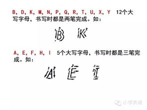英语基础知识的缩写字母是什么,英语基础知识的缩写,基础知识入门缩写