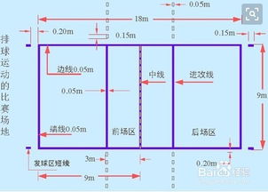 排球基础知识演讲稿