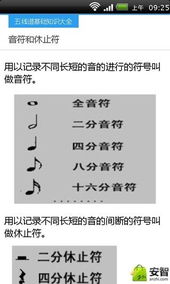 小提琴五线谱入门基础知识,五线谱入门基础知识,五线谱入门零基础知识