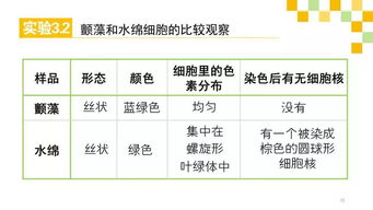 基础知识,重要性,高中生物